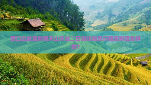 营口出发至新疆天山天池二日游攻略及行程安排是怎样的？