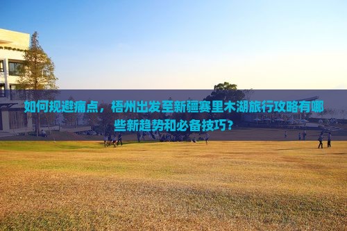如何规避痛点，梧州出发至新疆赛里木湖旅行攻略有哪些新趋势和必备技巧？