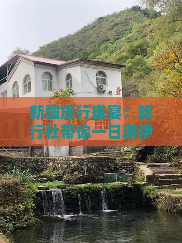 新疆旅行盛宴：旅行社带你一日游伊犁大草原