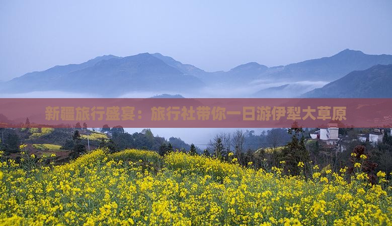 新疆旅行盛宴：旅行社带你一日游伊犁大草原