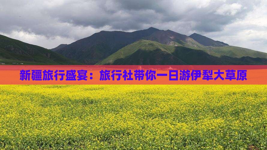 新疆旅行盛宴：旅行社带你一日游伊犁大草原