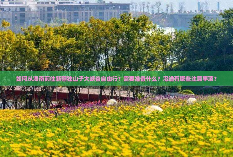 如何从海南前往新疆独山子大峡谷自由行？需要准备什么？沿途有哪些注意事项？