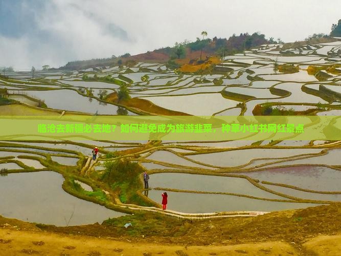 临沧去新疆必去地？如何避免成为旅游韭菜，种草小红书网红景点