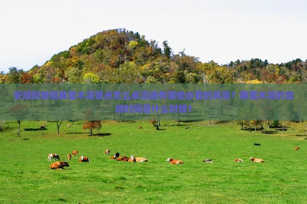安顺到新疆赛里木湖景点怎么卓沿途有哪些必看的风景？赛里木湖的旅游时间是什么时候？