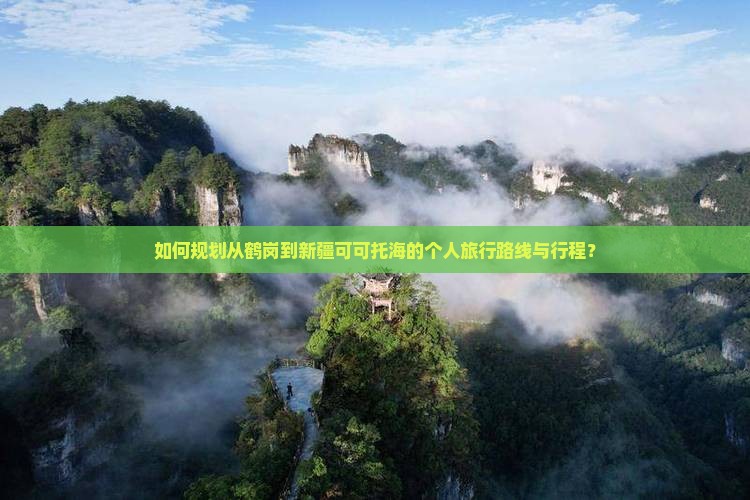 如何规划从鹤岗到新疆可可托海的个人旅行路线与行程？