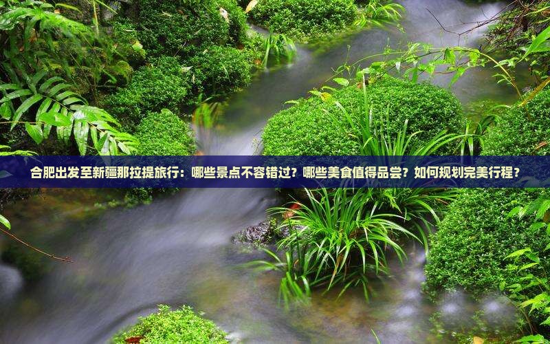 合肥出发至新疆那拉提旅行：哪些景点不容错过？哪些美食值得品尝？如何规划完美行程？