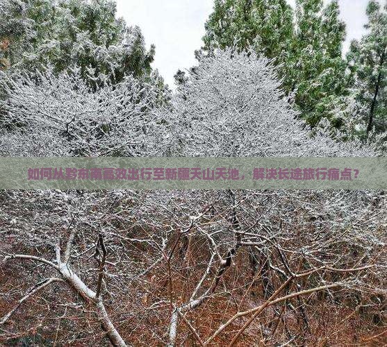 如何从黔东南高效出行至新疆天山天池，解决长途旅行痛点？