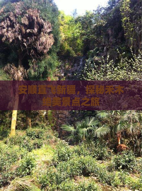安顺直飞新疆，探秘禾木绝美景点之旅