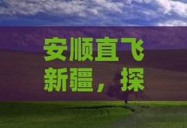 安顺直飞新疆，探秘禾木绝美景点之旅