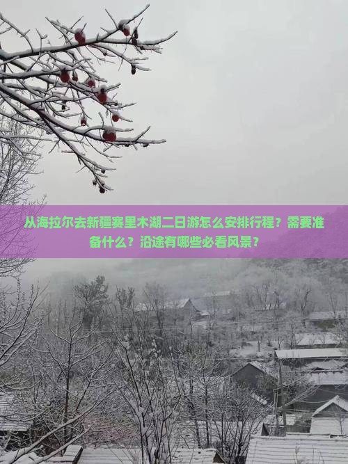 从海拉尔去新疆赛里木湖二日游怎么安排行程？需要准备什么？沿途有哪些必看风景？