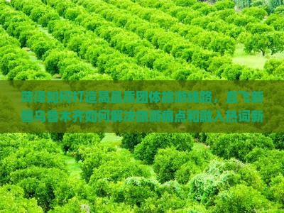 菏泽如何打造高品质团体旅游线路，直飞新疆乌鲁木齐如何解决旅游痛点和融入热词新词？