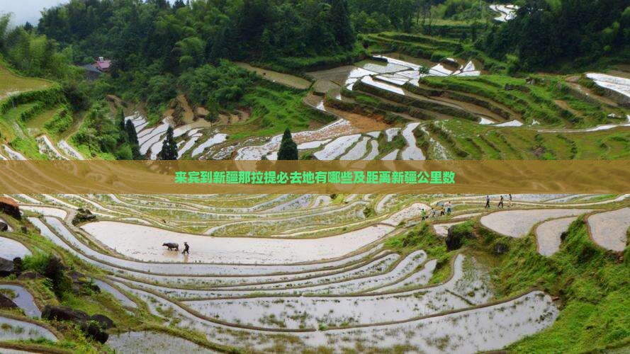 来宾到新疆那拉提必去地有哪些及距离新疆公里数