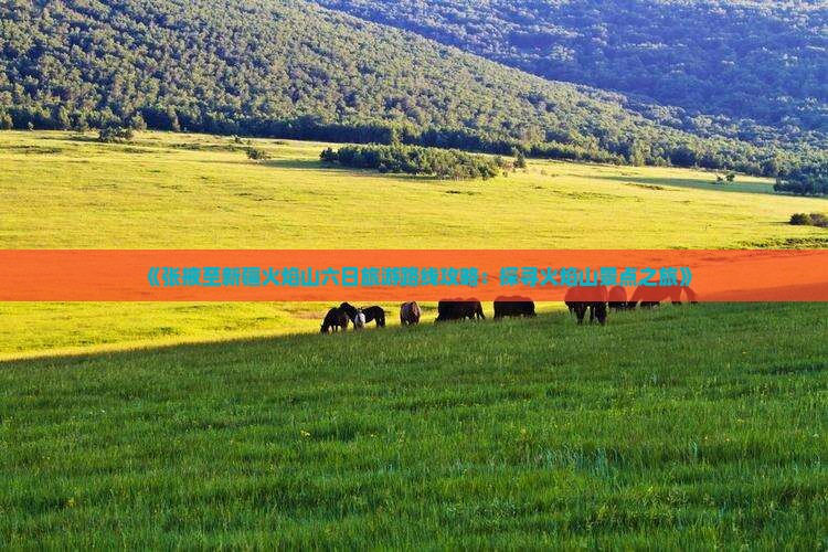 《张掖至新疆火焰山六日旅游路线攻略：探寻火焰山景点之旅》