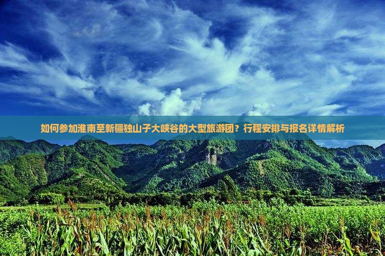 如何参加淮南至新疆独山子大峡谷的大型旅游团？行程安排与报名详情解析
