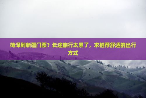 菏泽到新疆门票？长途旅行太累了，求推荐舒适的出行方式