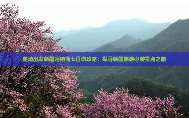 潍坊出发新疆喀纳斯七日游攻略：探寻新疆旅游必游景点之旅