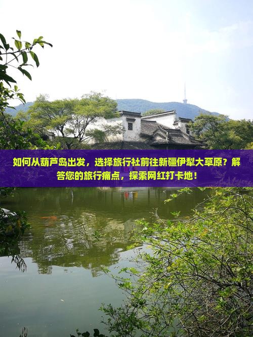 如何从葫芦岛出发，选择旅行社前往新疆伊犁大草原？解答您的旅行痛点，探索网红打卡地！