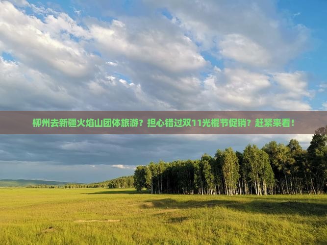 柳州去新疆火焰山团体旅游？担心错过双11光棍节促销？赶紧来看！