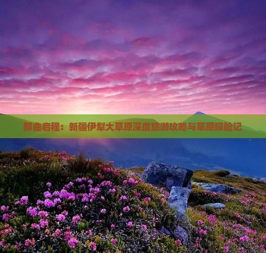 那曲启程：新疆伊犁大草原深度旅游攻略与草原探险记