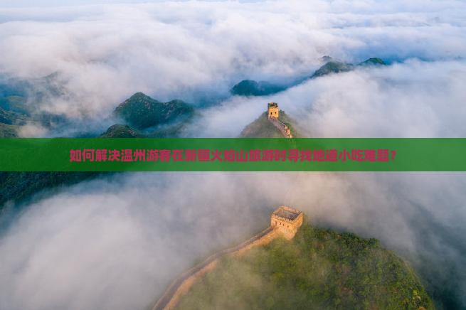 如何解决温州游客在新疆火焰山旅游时寻找地道小吃难题？
