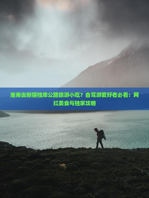 淮南去新疆独库公路旅游小吃？自驾游爱好者必看：网红美食与独家攻略