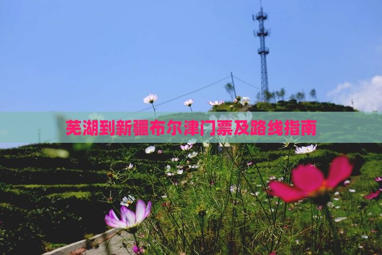 芜湖到新疆布尔津门票及路线指南