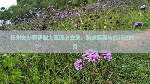 抚州去新疆伊犁大草原必去地，路途距离与旅行攻略一览