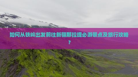 如何从铁岭出发前往新疆那拉提必游景点及旅行攻略？