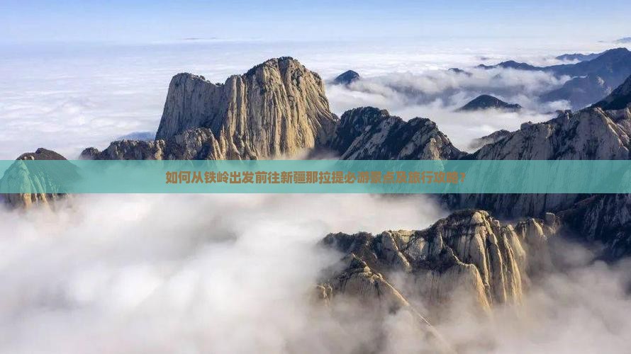 如何从铁岭出发前往新疆那拉提必游景点及旅行攻略？