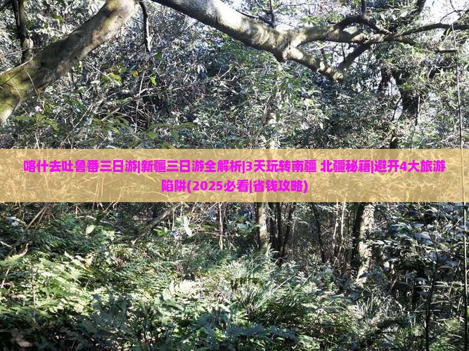 喀什去新疆吐鲁番三日游