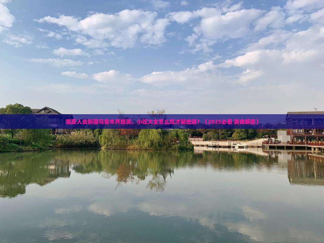 临夏去新疆乌鲁木齐旅游小吃