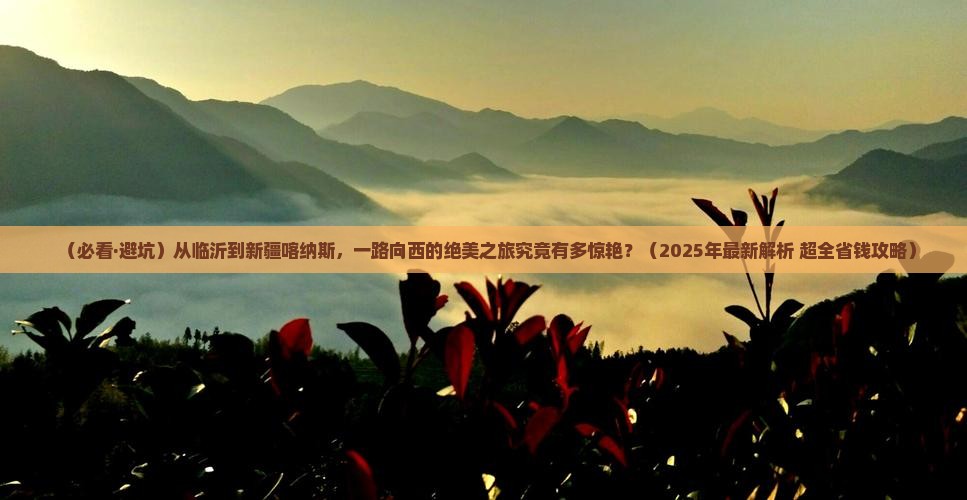 临沂去新疆喀纳斯景点
