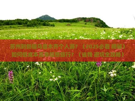 苏州到新疆乌鲁木齐个人游