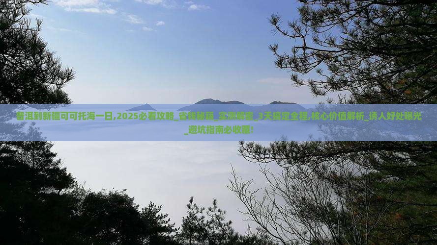 普洱到新疆可可托海一日