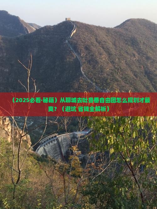 聊城到新疆吐鲁番自由团