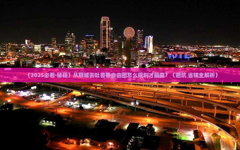 聊城到新疆吐鲁番自由团