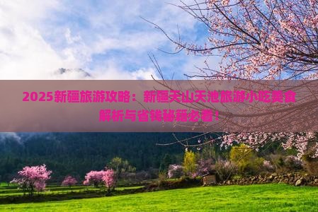 延安到新疆天山天池旅游小吃