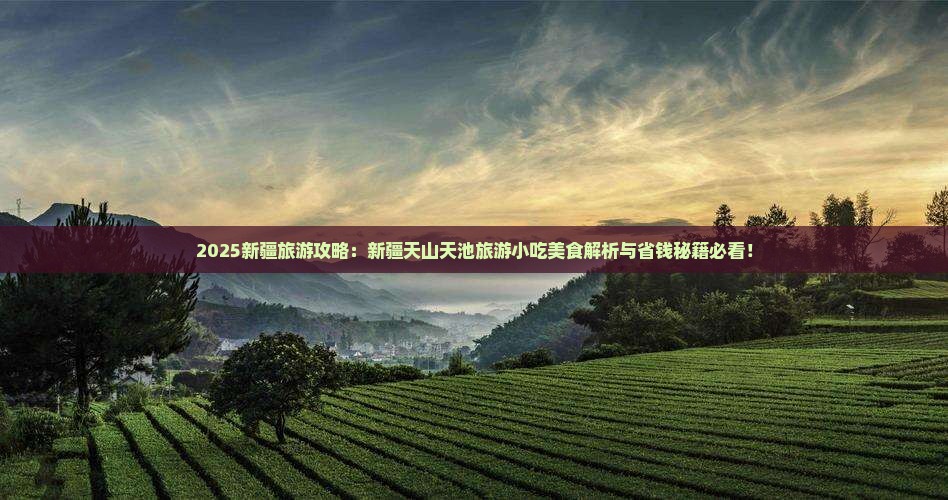 延安到新疆天山天池旅游小吃