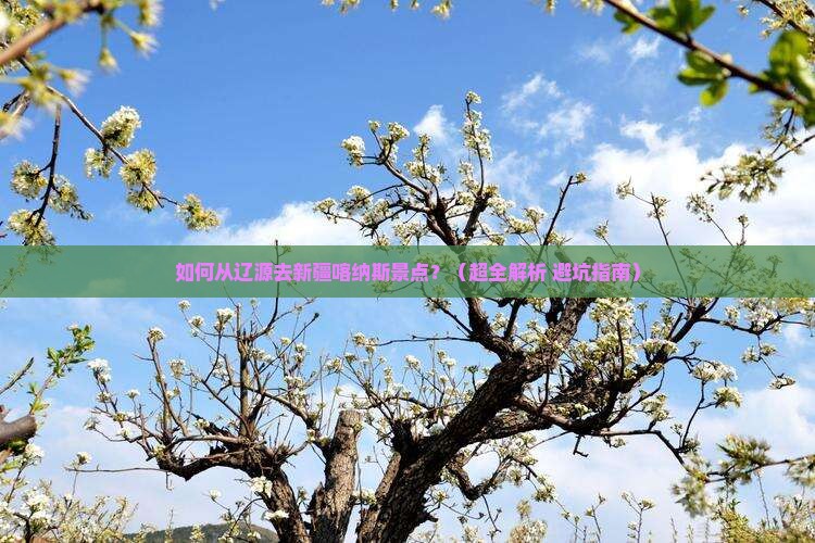 辽源去新疆喀纳斯景点