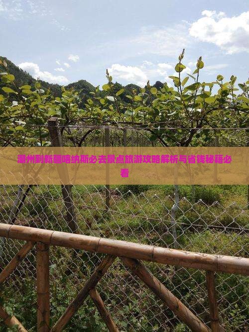 潮州到新疆喀纳斯必去地 潮州到新疆喀纳斯必去地