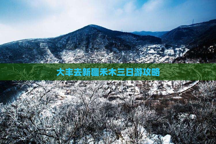 大丰去新疆禾木三日游