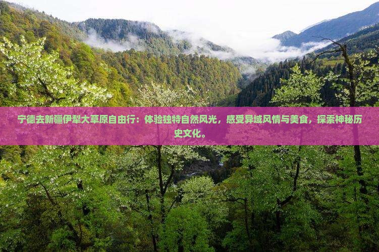 宁德去新疆伊犁大草原自由行
