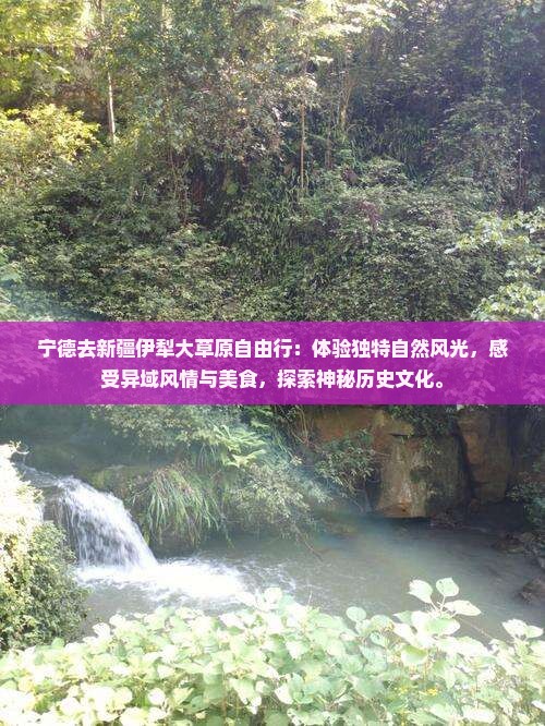 宁德去新疆伊犁大草原自由行