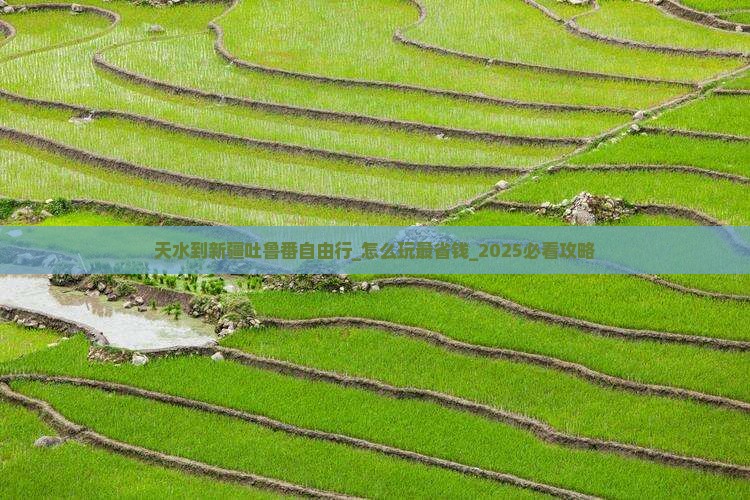天水到新疆吐鲁番自由行 天水到新疆吐鲁番自由行