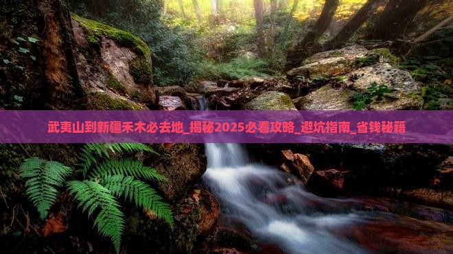 武夷山到新疆禾木必去地