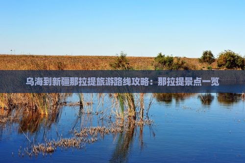 乌海市到新疆那拉提团体旅游