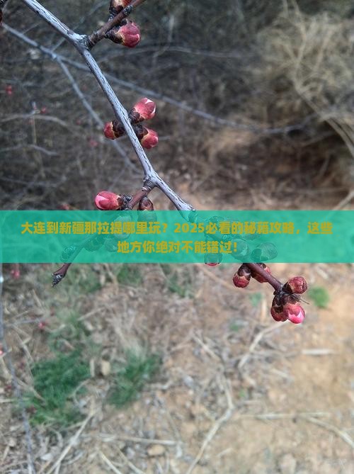 大连到新疆那拉提哪里玩