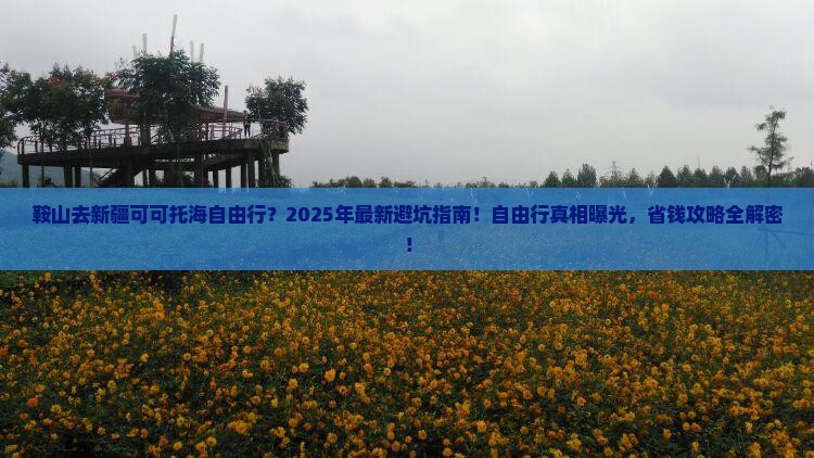 鞍山去新疆可可托海自由行 鞍山去新疆可可托海自由行