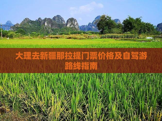 大理去新疆那拉提门票 大理去新疆那拉提门票
