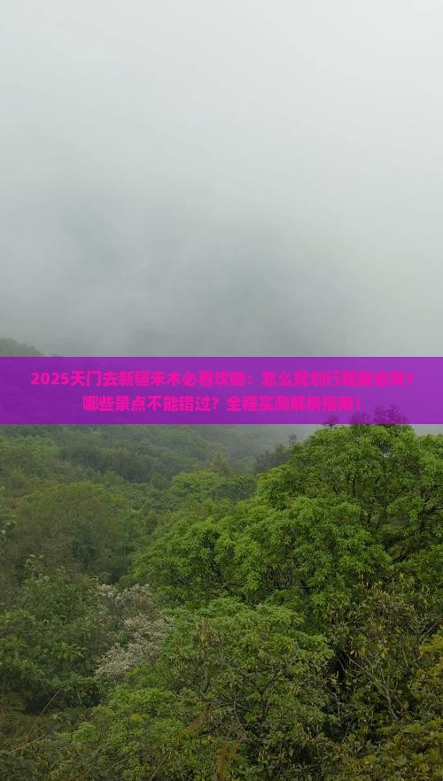 天门去新疆禾木旅行社